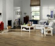 laminate 5